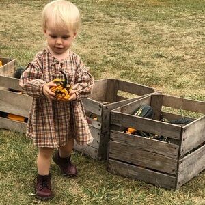 NWT Brown Plaid Toddler Dress